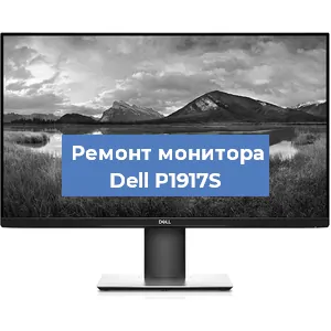 Замена шлейфа на мониторе Dell P1917S в Новосибирске